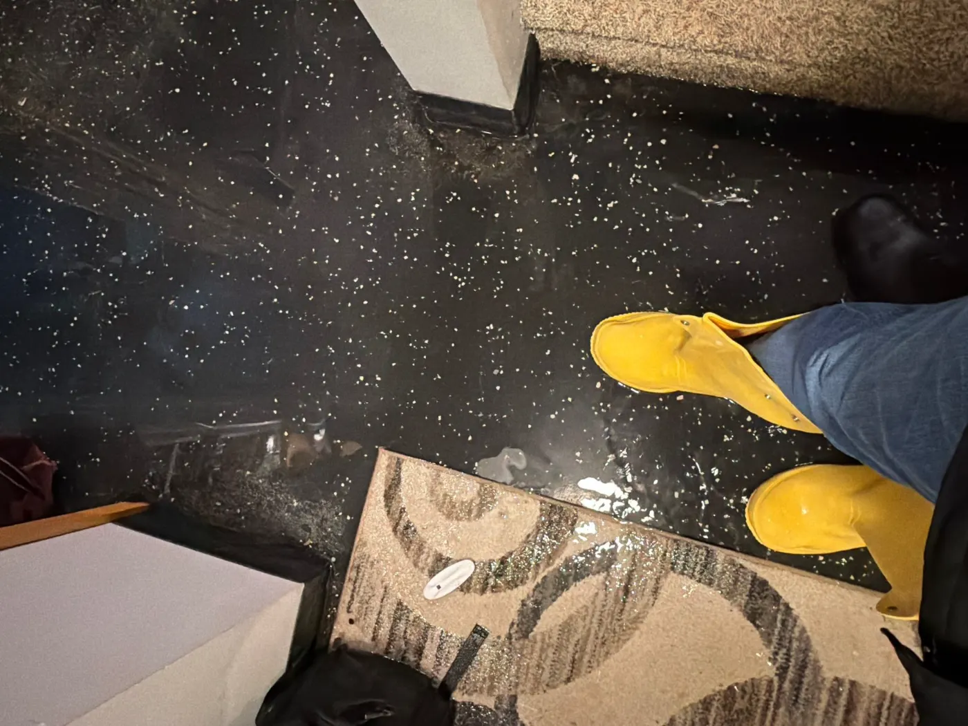 Flooded basement cleanup in East Harbour, Hamilton County